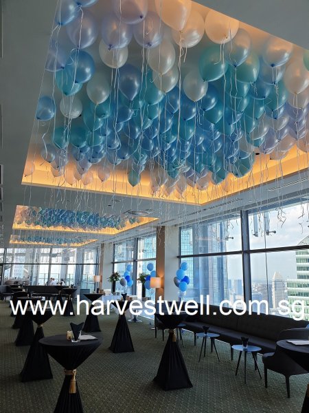 Pearl Gloss Assortment Colour Helium Latex Balloons